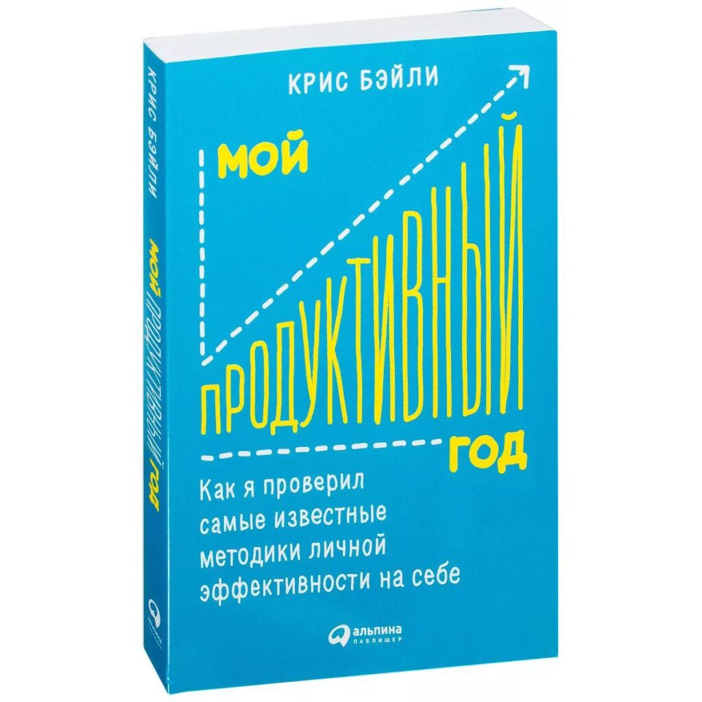 Мой продуктивный год - Крис Бейли